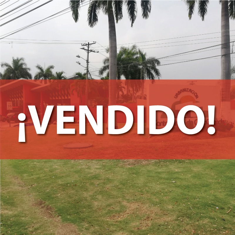 Concluido